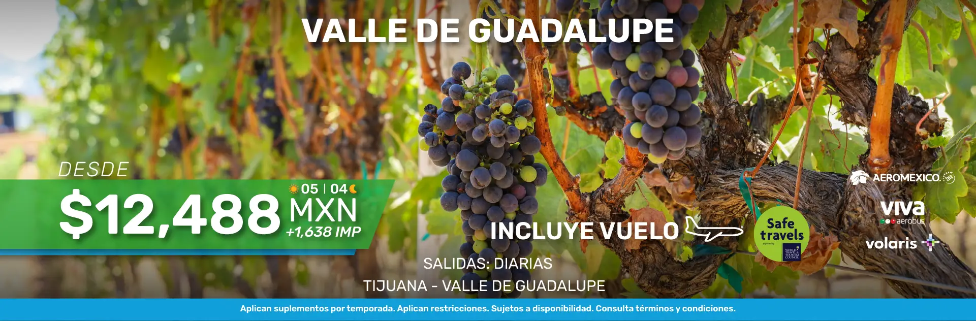 VALLE-DE-GUADALUPE 