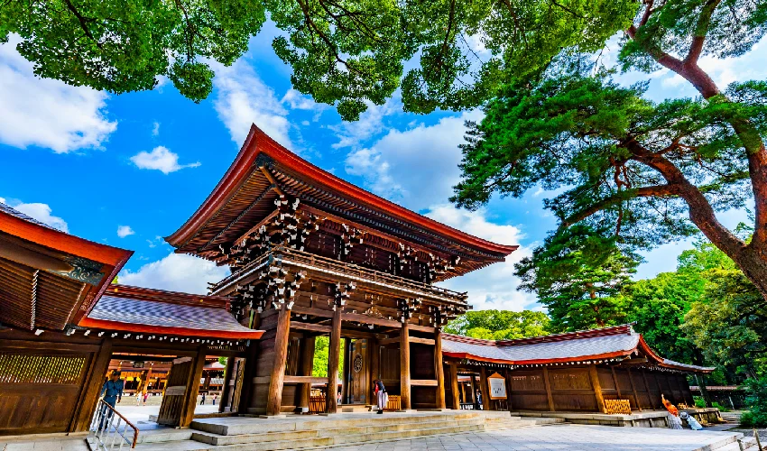 VIAJE JAPON BANZAI 