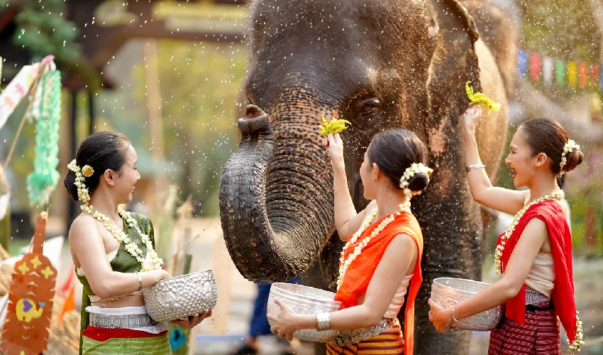 Viaje impresiones de tailandia 